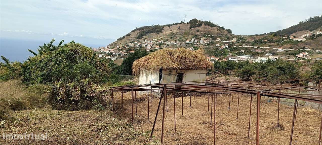 Terreno Urbano  Venda em Campanário,Ribeira Brava-12
