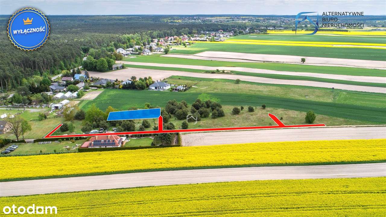 Zaciszna działka blisko lasu - Pełny obrazek: 5/5