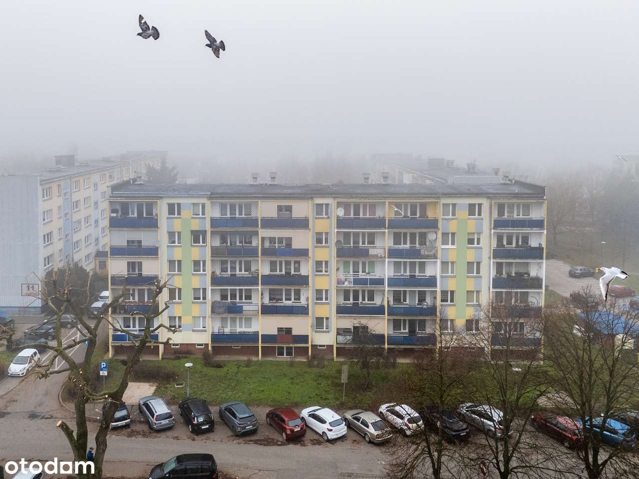 Twoje nowe miejsce na ziemi – Słoneczne 4 pokoje na os. Czwartaków-14