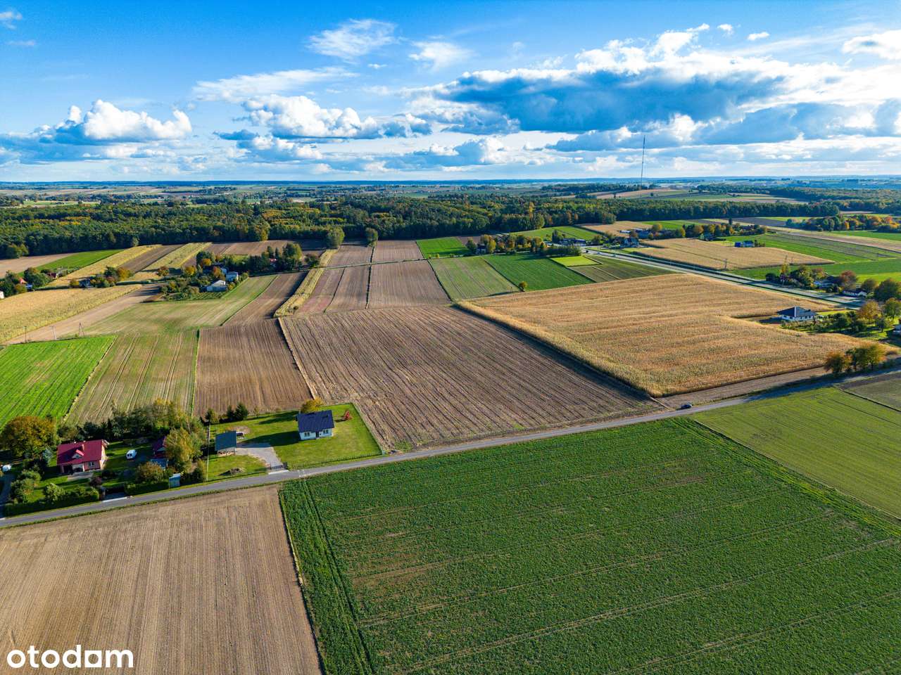 Działka rolno-budowlana, 3000m², Piotrków-Kolonia, gm. Jabłonna - Pełny obrazek: 5/7