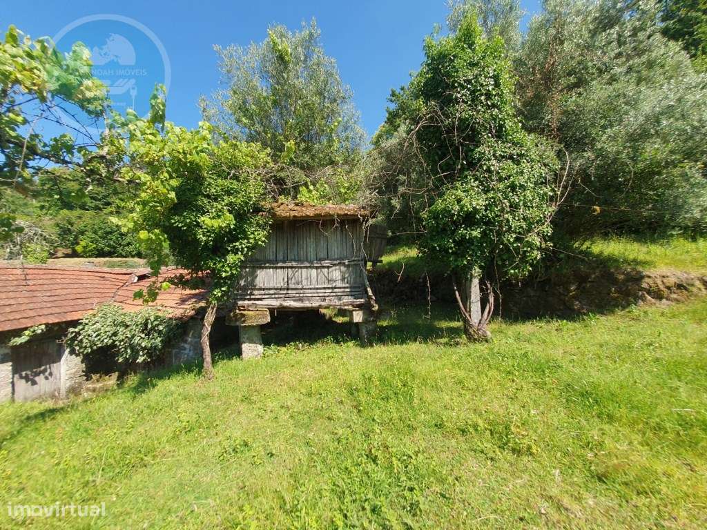 Quinta à venda para restauro em Arroteia freguesia de Rossas-10