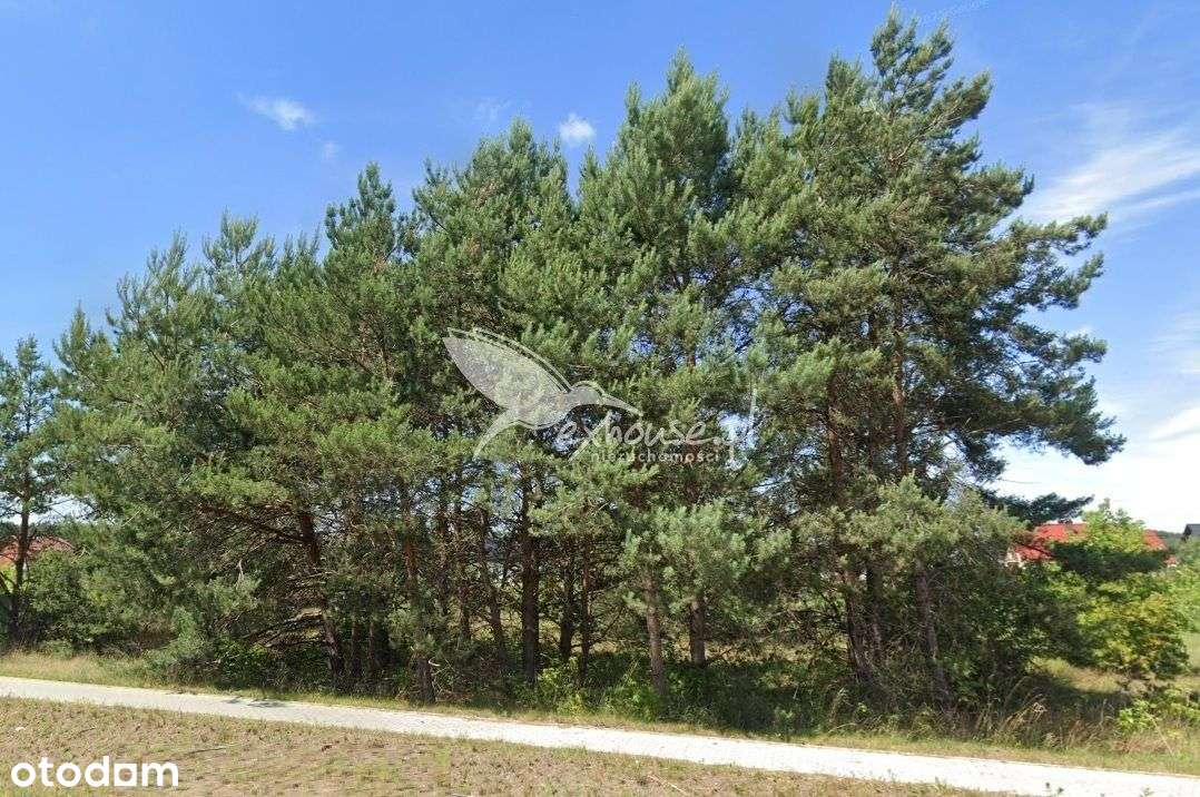 Nowe Dąbie, Gm. Łabiszyn |Działka Budowlana|1145m2 - Pełny obrazek: 4/5