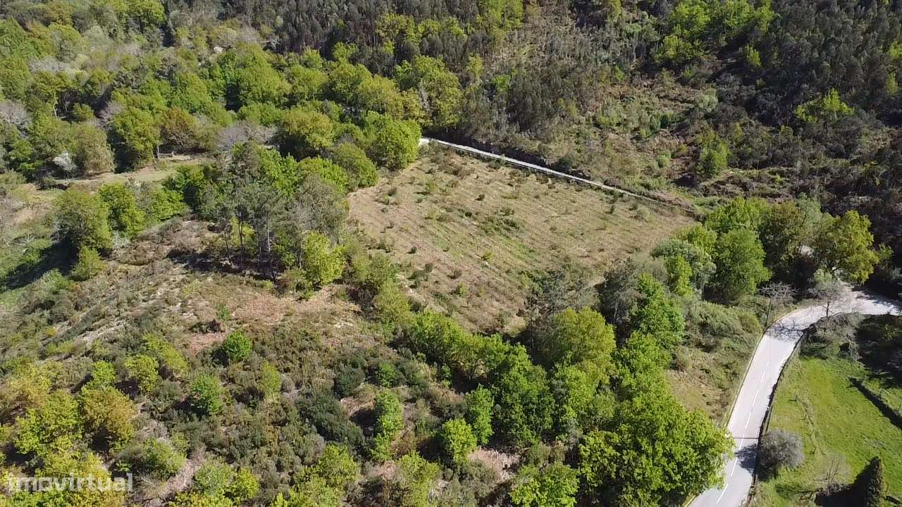 Terreno – Vouzela-8