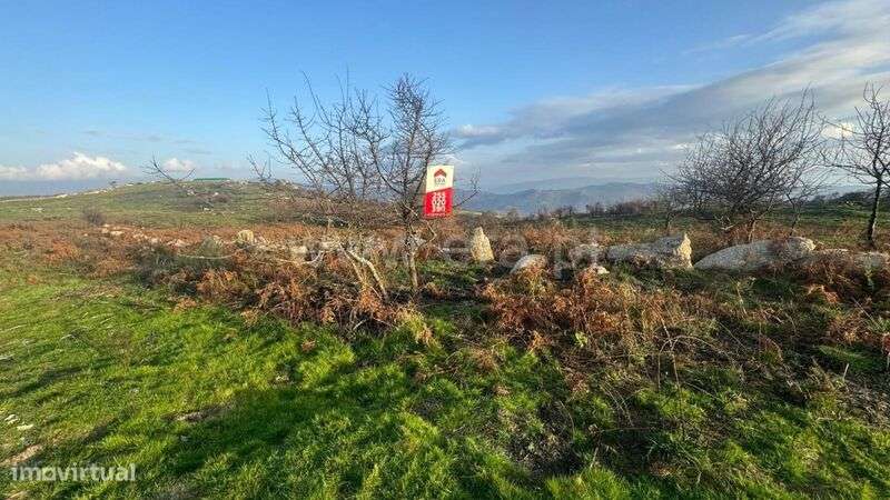 Terreno / Baião, Campelo e Ovil - Grande imagem: 2/8