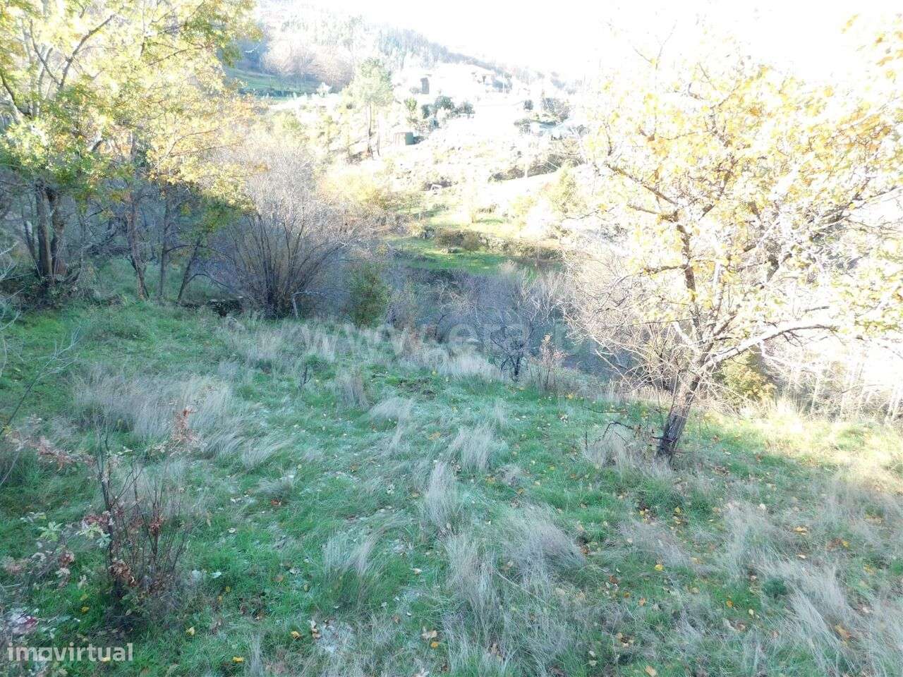 Quinta / Seia, Seia - Grande imagem: 5/8