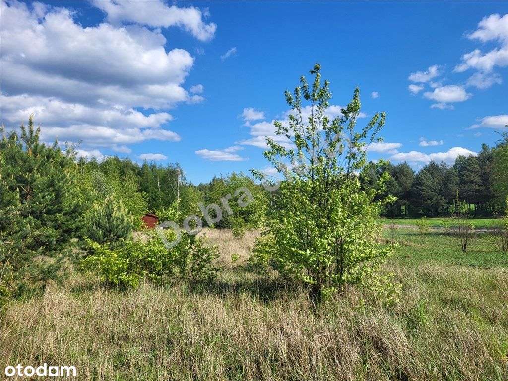 Działka na zielonym wzgórzu - Pełny obrazek: 5/15