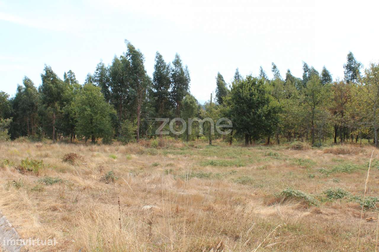 Terreno para construção e exploração agrícola em Paranhos da Beira... - Grande imagem: 4/20