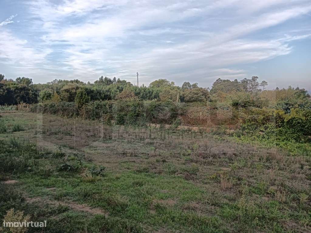 Terreno com 18,5m de frente para venda em Oiã - Grande imagem: 5/15