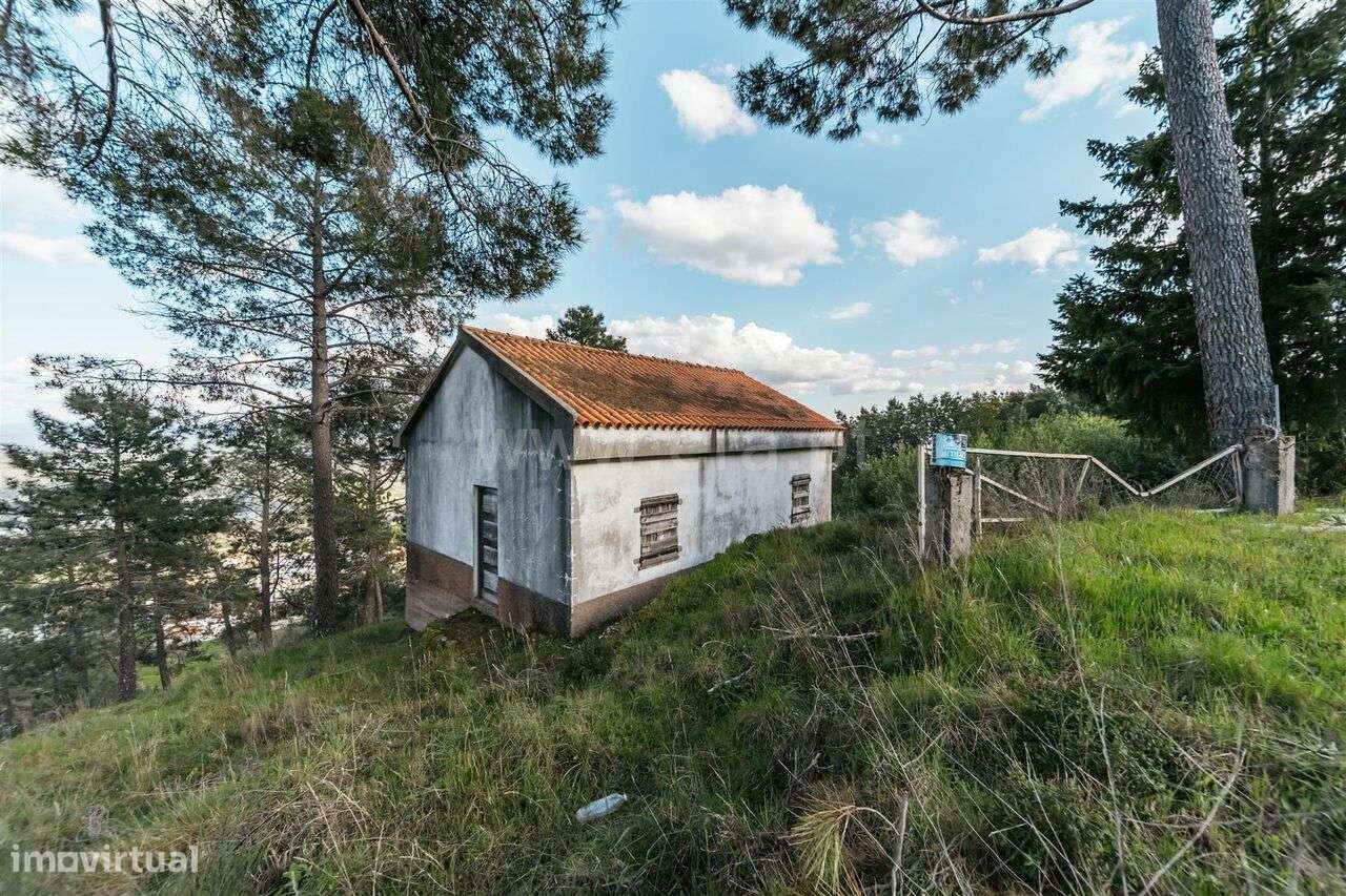 Quinta T3 / Covilhã, Cantar - Galo - Grande imagem: 2/20