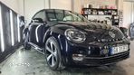 Volkswagen Beetle - 16