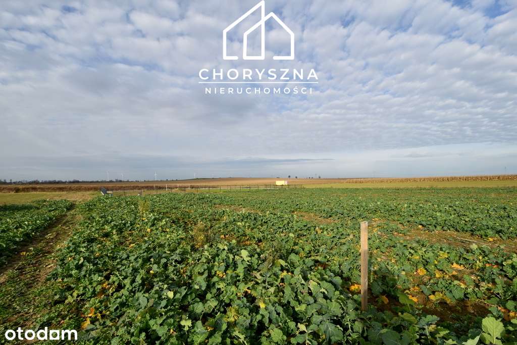 Namysłów - Stare Miasto - działka budowlana-1