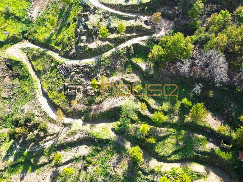 Quinta com frente de Rio Douro-19