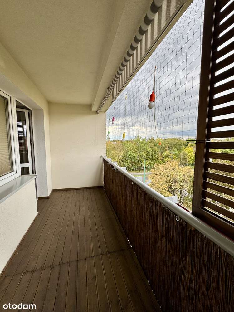 Przestronne 3 pokoje, balkon, Grunwald,niski blok!-10