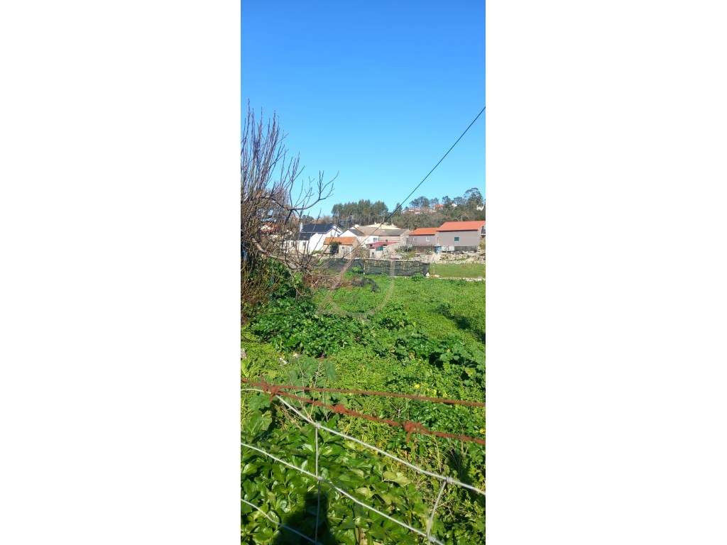 Moradia / Reconstrução / Venda / Fátima-13