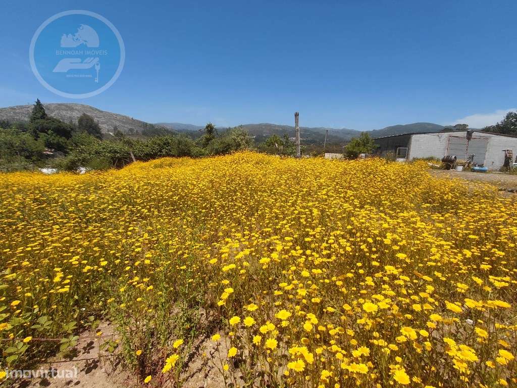 Terreno Construtivo de 8.700 m² com Casa PréFabricada T2, Nascente ...-21