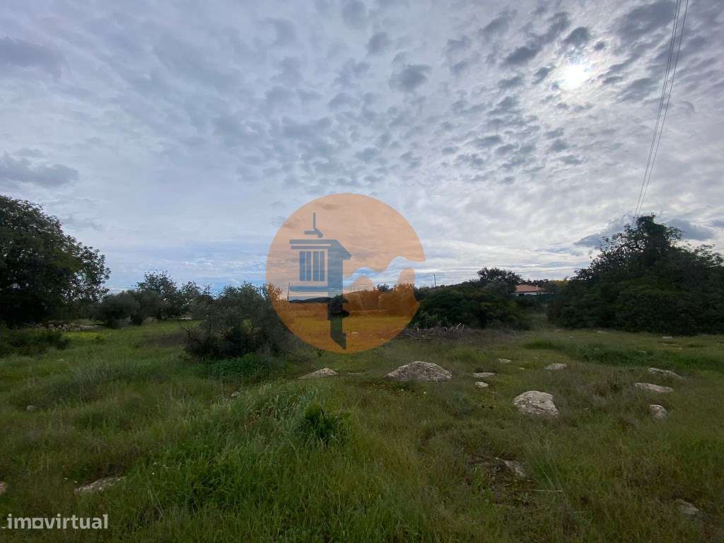 Terreno Rustico na Conceição de Faro - Grande imagem: 3/12
