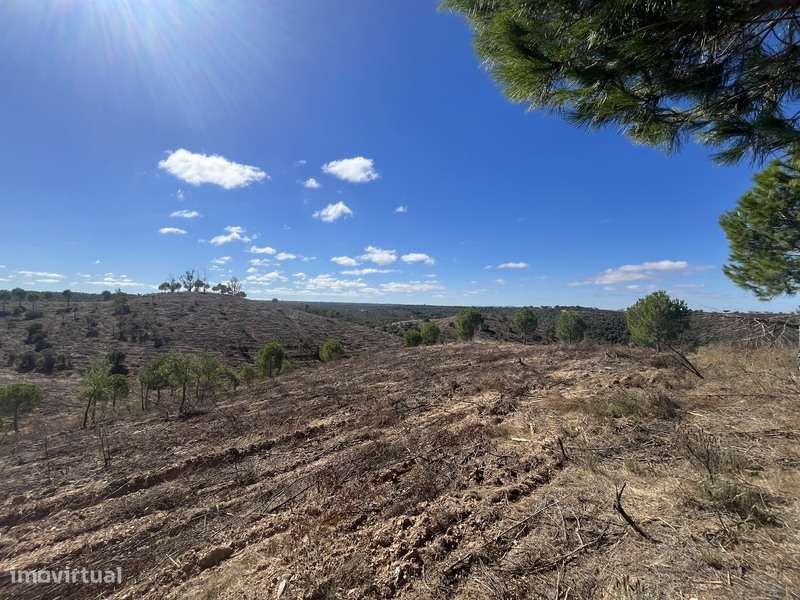 Herdade com 48ha de Natureza c/ Ruína de 53 m² – Ideal Projetos Rurais-11