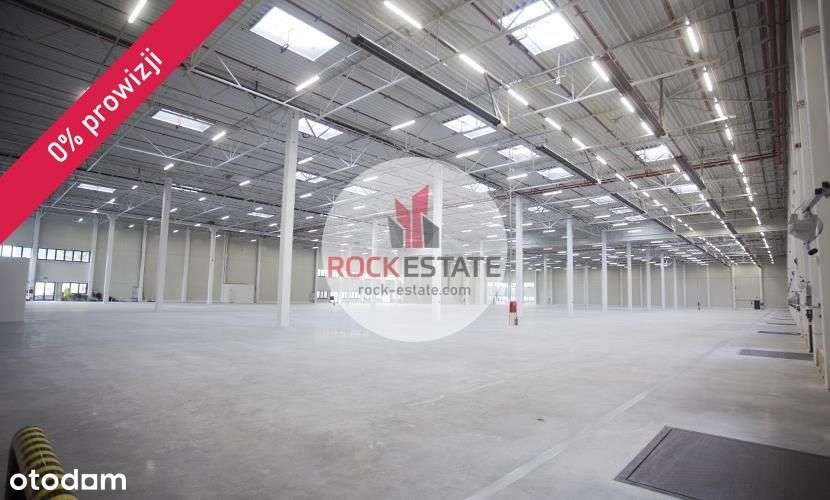 Magazyn 3400 m2 Łódź Widzew na wynajem - Pełny obrazek: 5/5