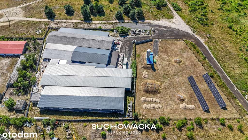 Zakład produkcyjno-magazynowy z biurami, hale-5