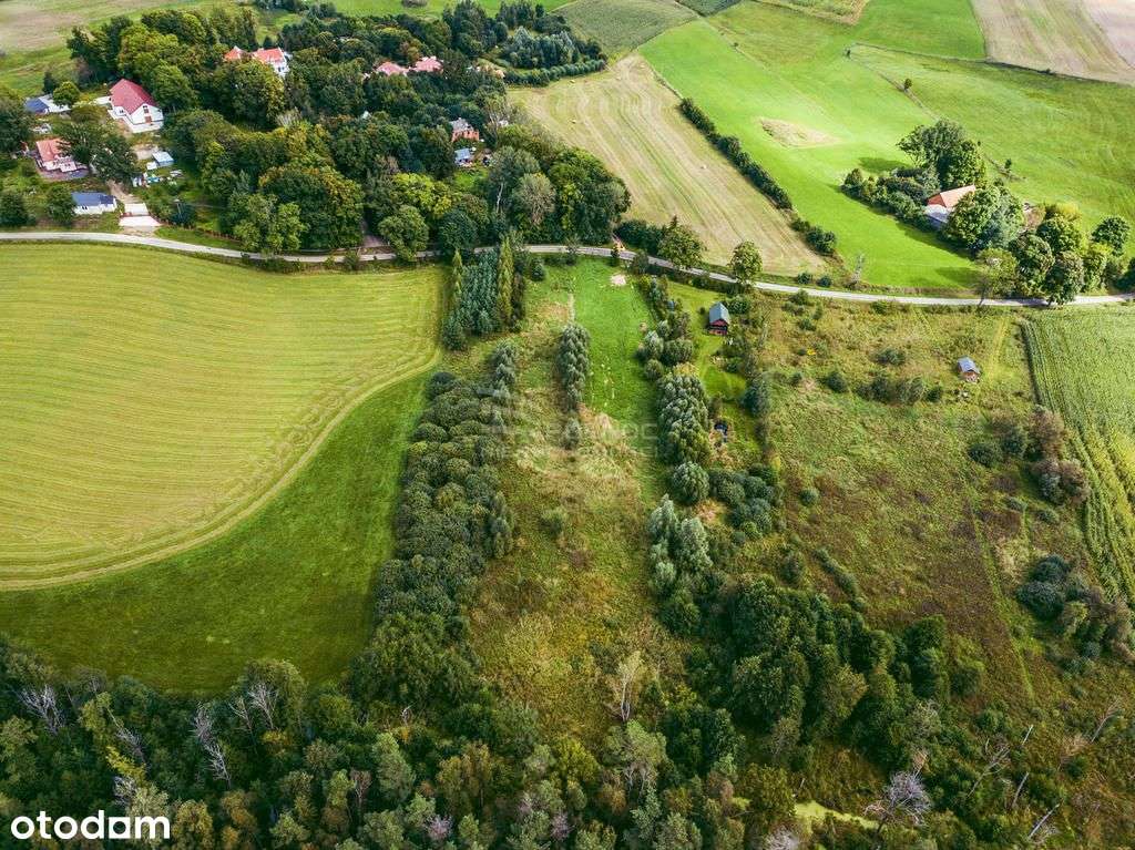 Działka rolna na Mazurach (Golubie) - Pełny obrazek: 5/11