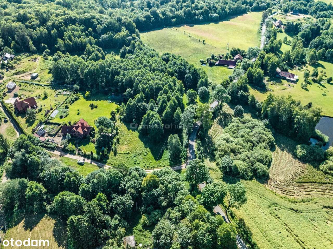 Piękna działka z warunkami zabudowy. - Pełny obrazek: 4/15