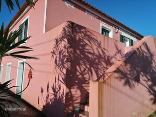 T3 c/Marquise| Flamengos - Grande imagem: 4/43
