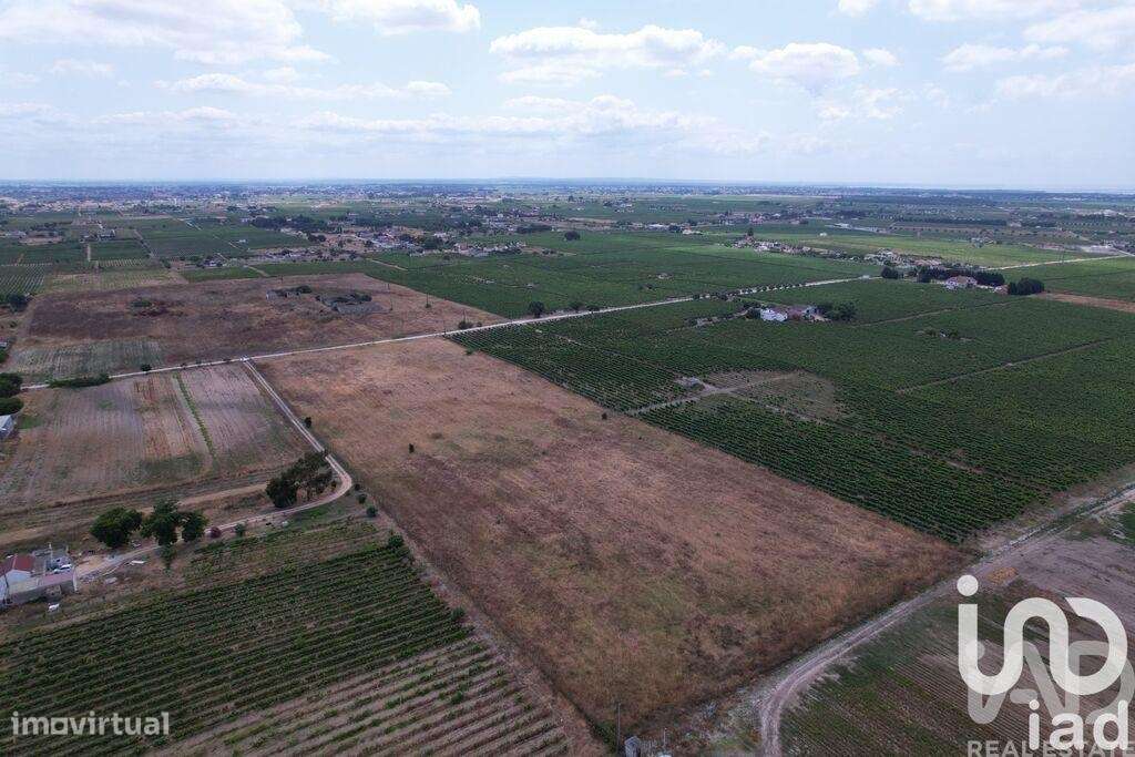 Terreno em Palmela - Grande imagem: 3/26