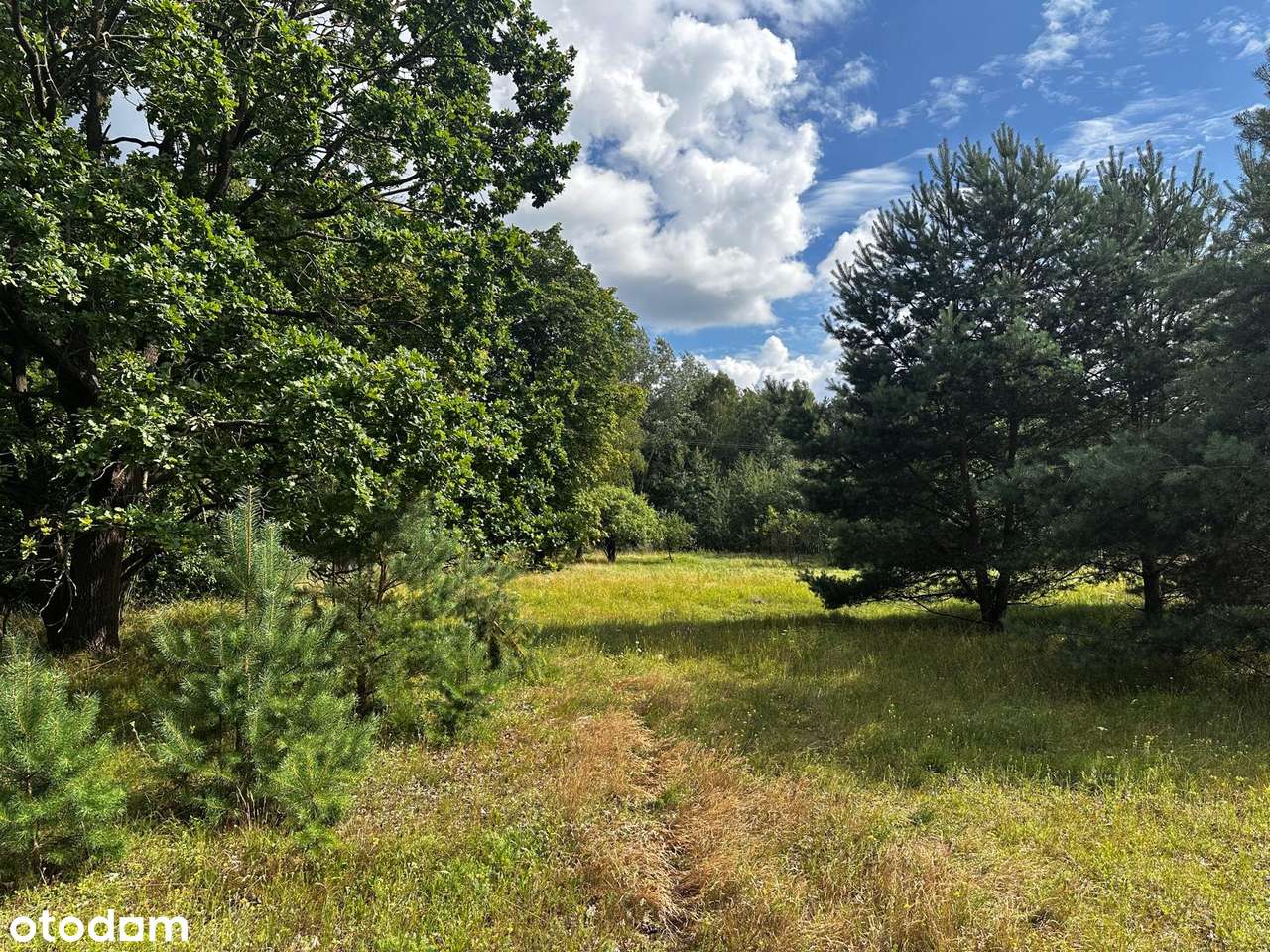 Piękna nieruchomość w Nowym Jastrzębsku - Pełny obrazek: 4/18