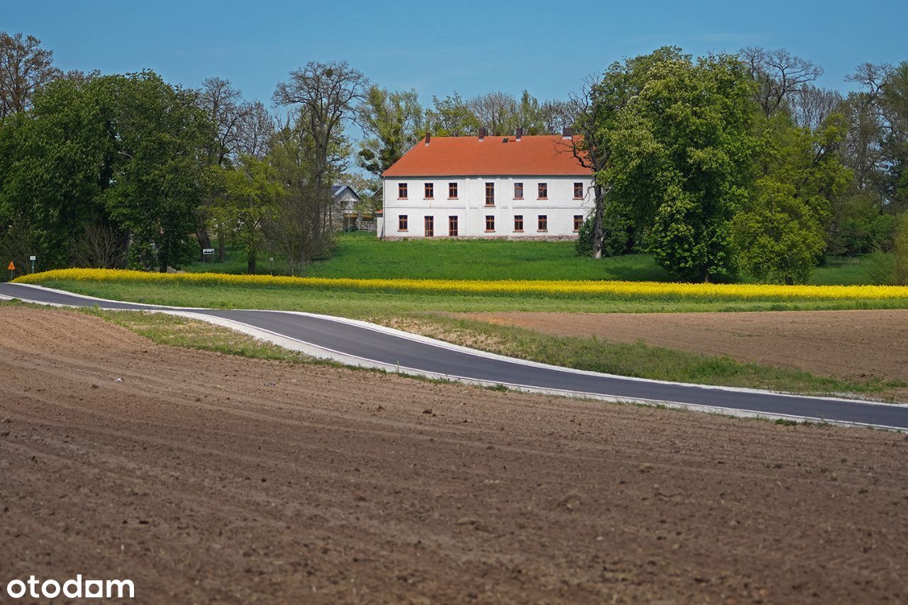 Dworek w Brześnicy z parkiem 4,39 ha