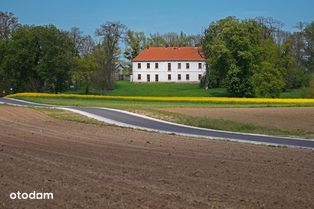 Dworek w Brześnicy z parkiem 4,39 ha