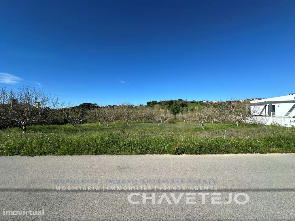 Terreno com 5.840 m2 a 5 km de Tomar. - Grande imagem: 3/10