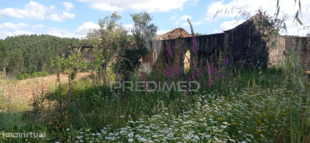 Ruína em aldeia perto de Mação - Grande imagem: 4/12