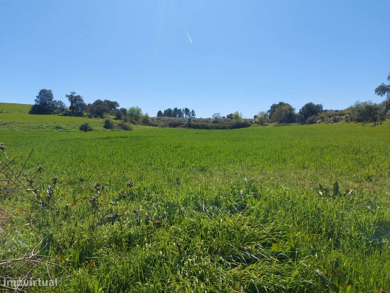 Venda Judicial Terreno Rústico Presa-Covinhas Castro Vicente - Grande imagem: 5/15