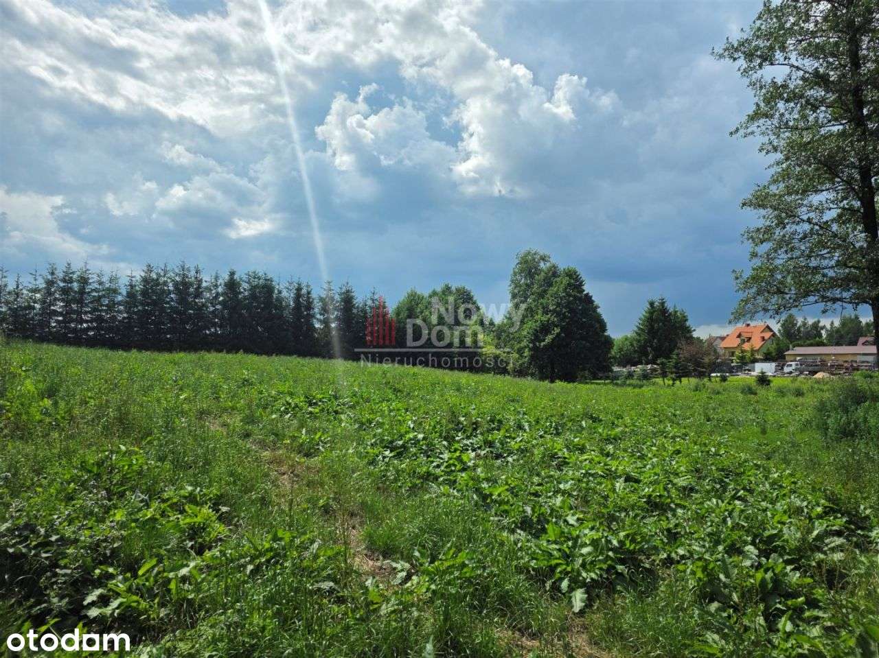 Działki Kożuchy Wielkie Z Lasem!-11