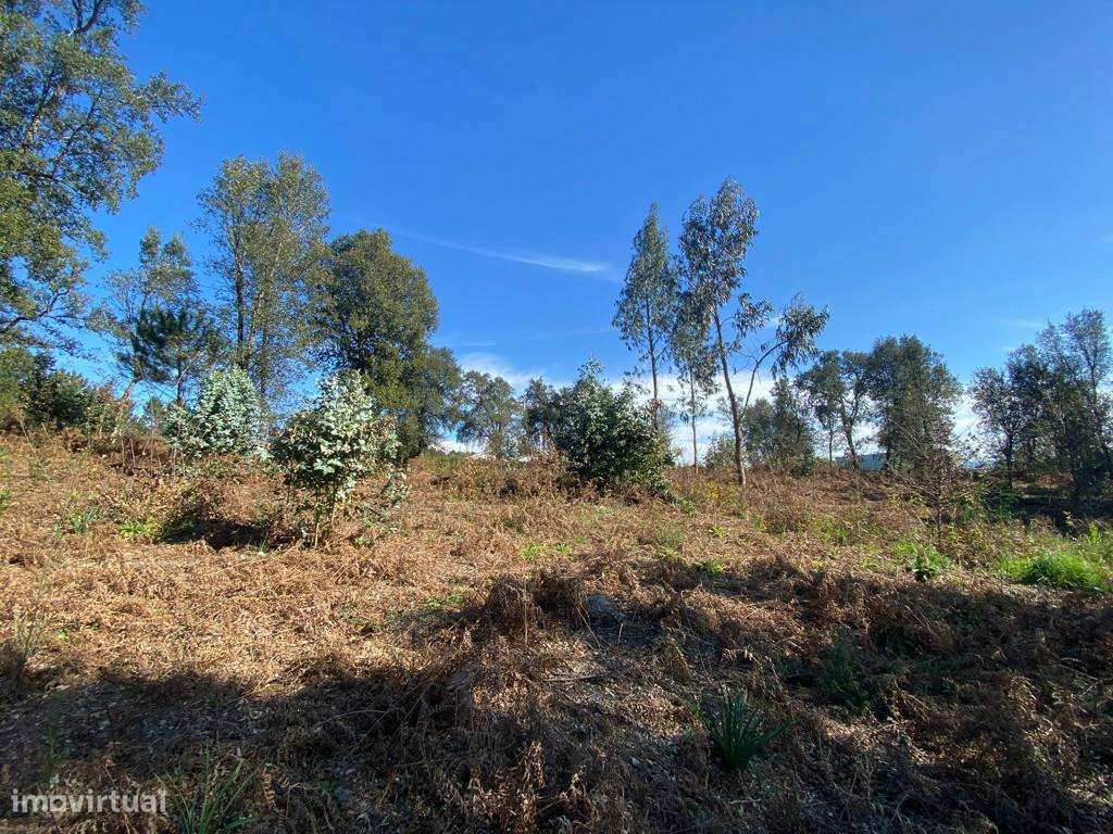Terreno Para Construção  Venda em Gavião,Vila Nova de Famalicão - Grande imagem: 3/3