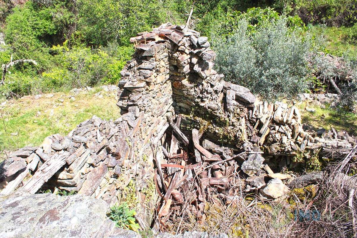 Imóvel Rural - Grande imagem: 3/24