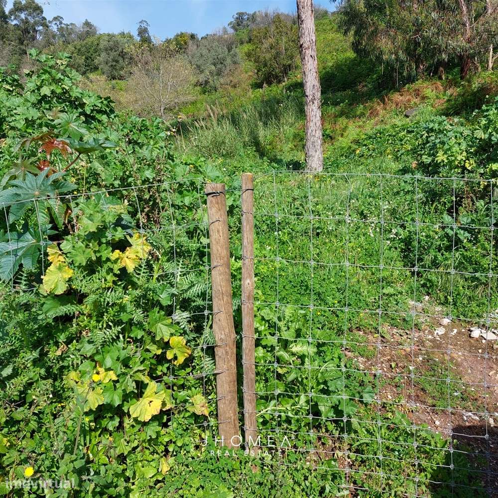 Terreno Rústico com 1,952 ha, Caneças, Odivelas - Grande imagem: 5/24
