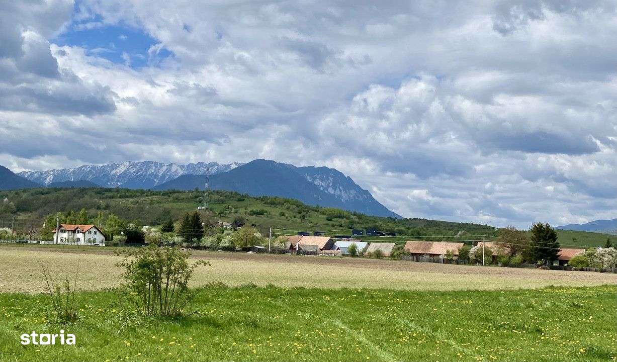 Teren plat P +4 Bran, panoramic munti, DN73, toate utilitatile-11