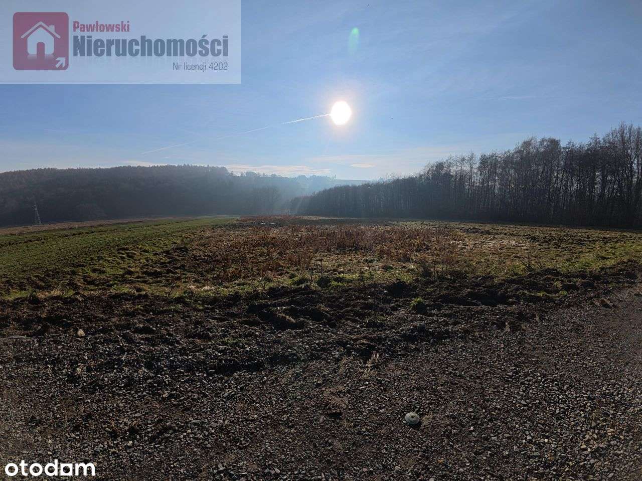 Działka, 6 000 m², Grabie-8