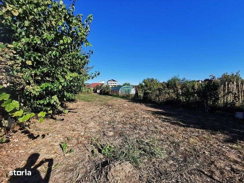 Teren de vanzare in zona Ostroveni-6