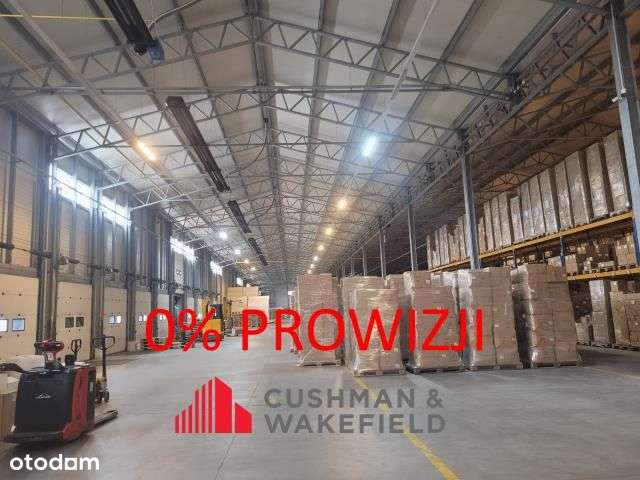 Powierzchnie magazynowe – Bielsk Podlaski - Pełny obrazek: 1/1