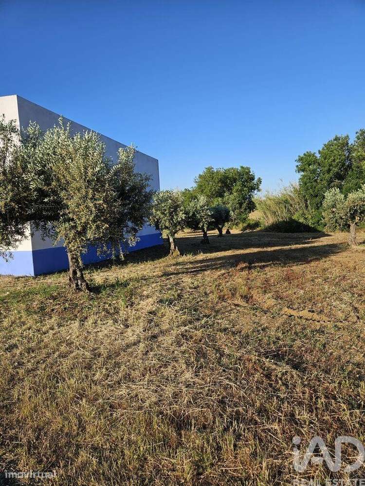 Loja / Estabelecimento Comercial em Vidigueira de 181,00 m2 - Grande imagem: 3/5