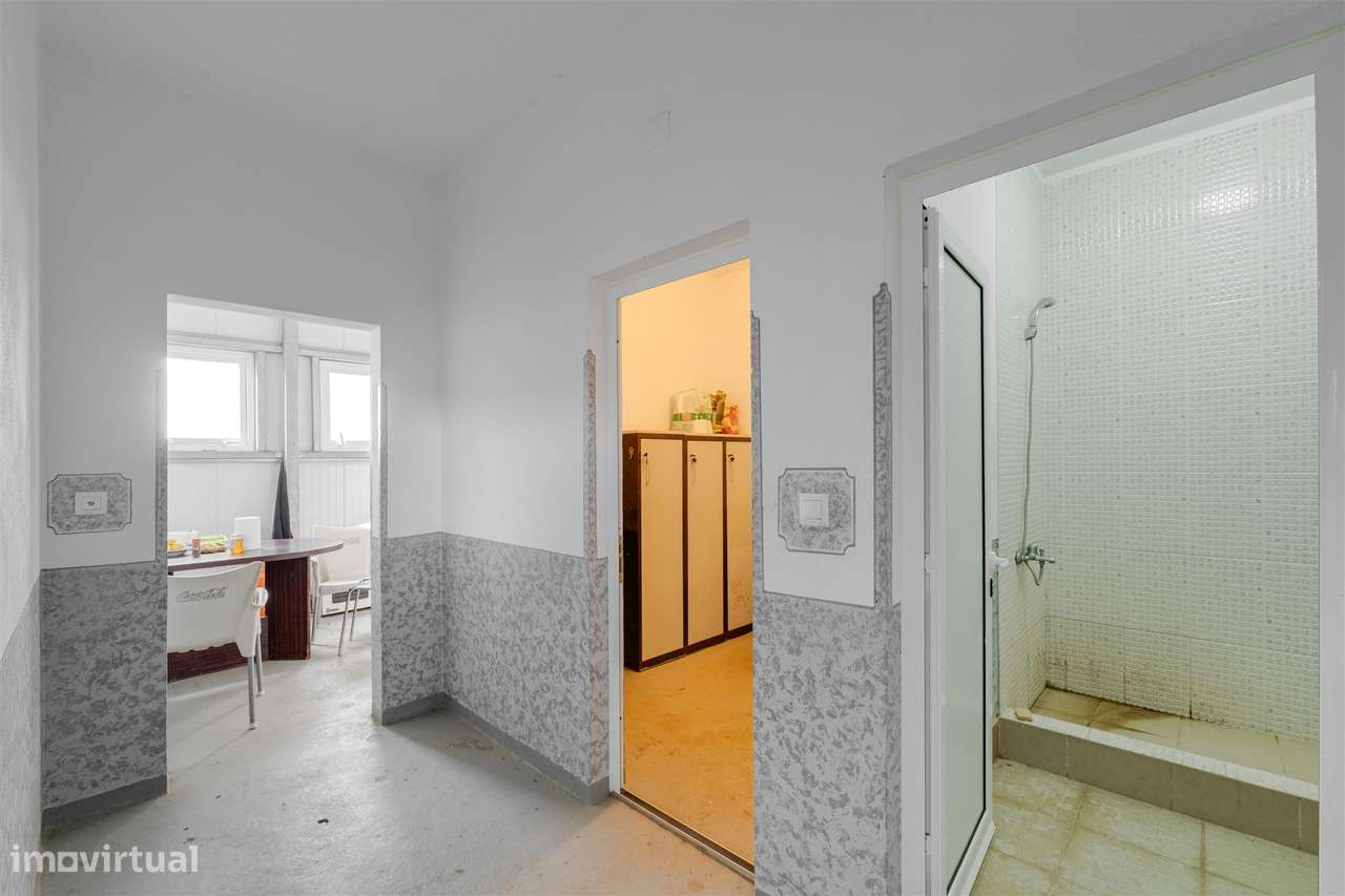 Quinta Biológica - Monte de Palma em Sao Manços com negócio.-26