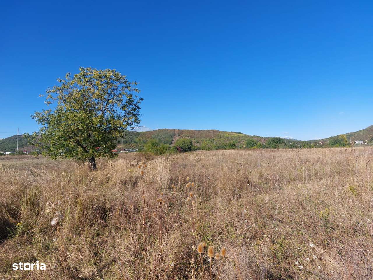 COMISION 0 Teren intravilan 1903  mp, Aninoasa, Viforata - Imagine principală: 2/5