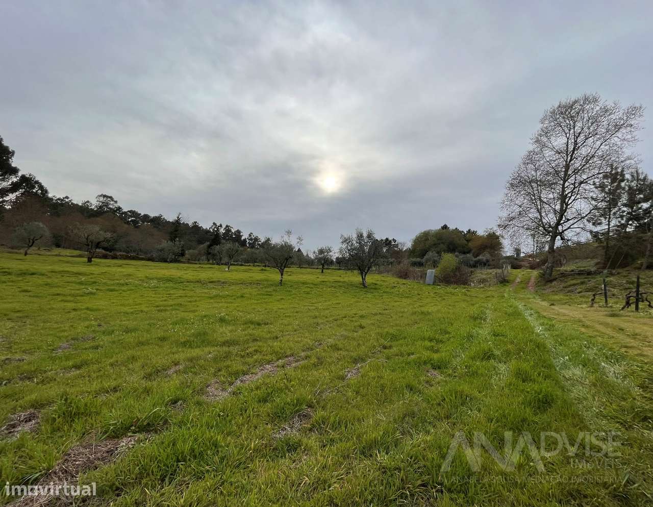Terreno Rústico  Venda em Repeses e São Salvador,Viseu - Grande imagem: 3/9