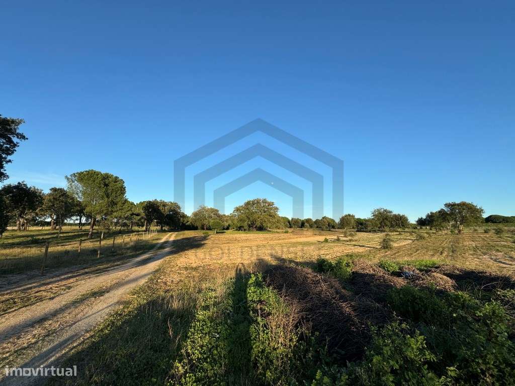 Terreno com 50.000m2 Rústico, possível construir moradia, em Pegões-11