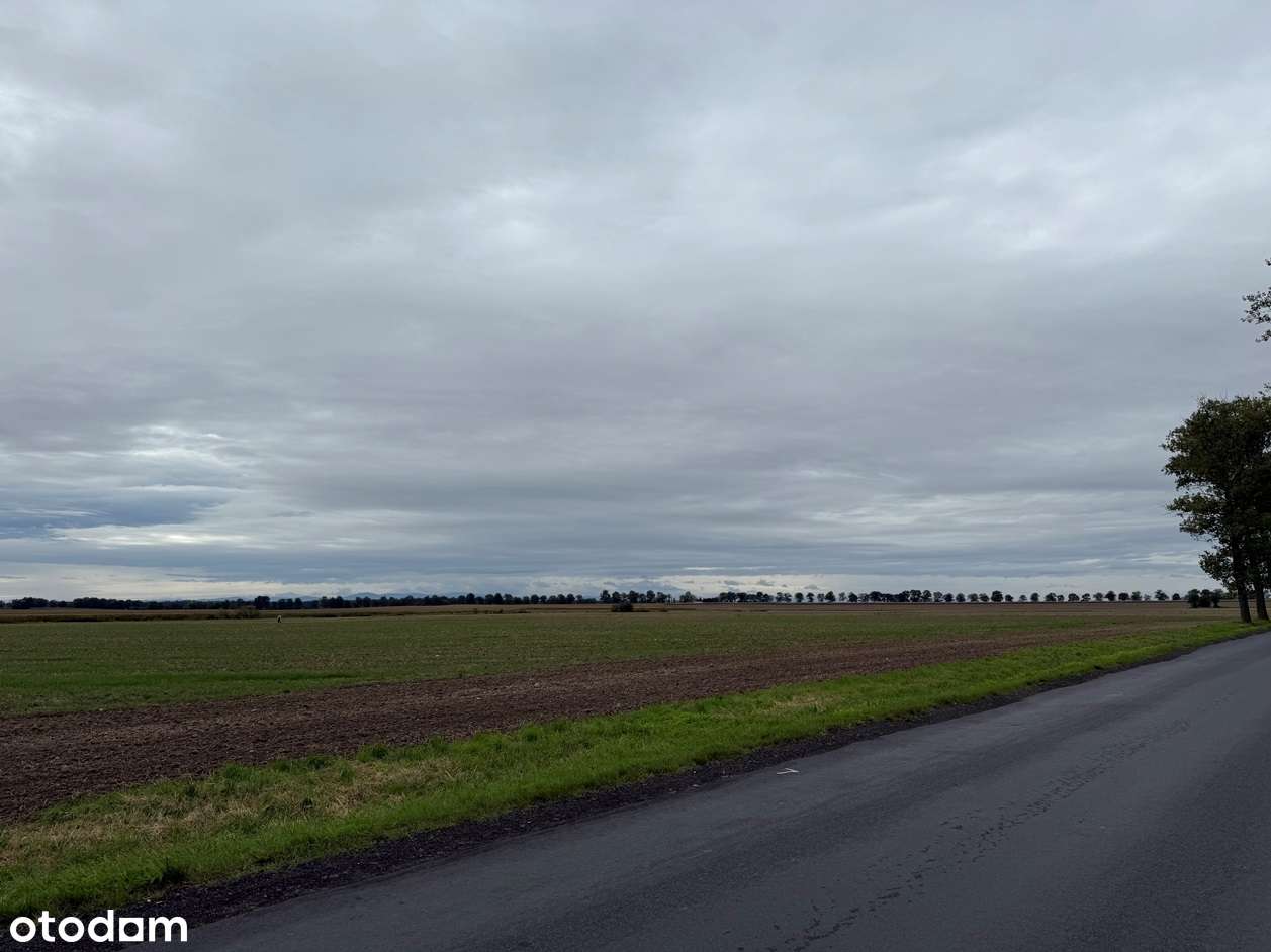 Działka w Korfantowie-0