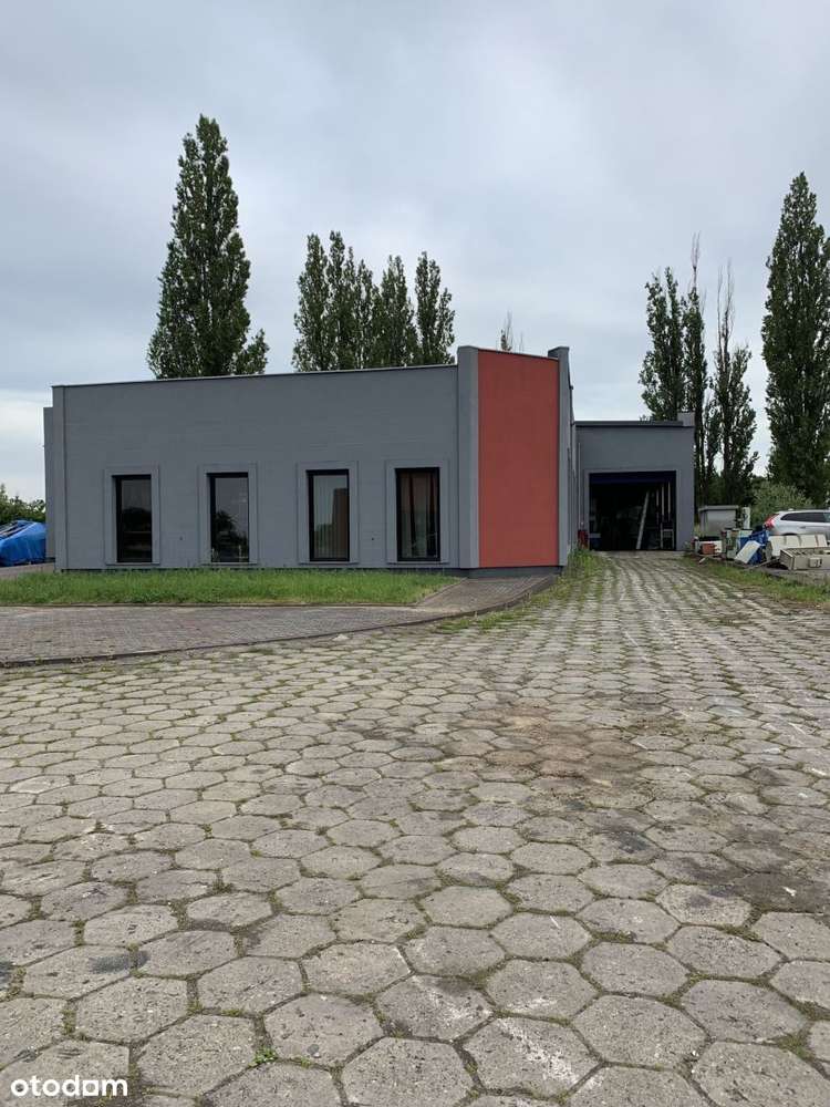 Hala produkcyjna - Pełny obrazek: 2/13