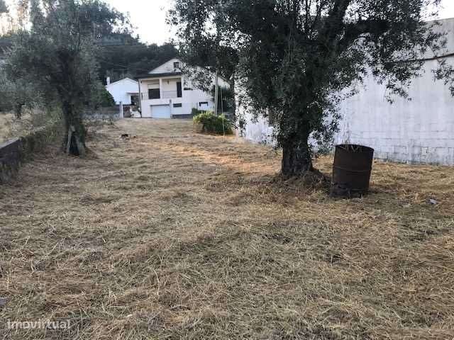 Armazém /Oficina com terreno - Grande imagem: 5/8