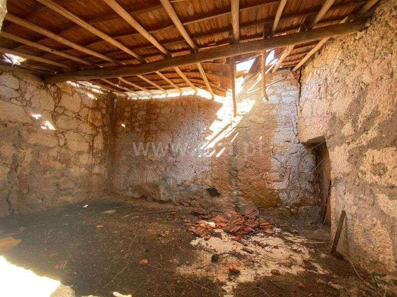 Quinta T1 / Fundão, Vale Prazeres - Grande imagem: 5/9